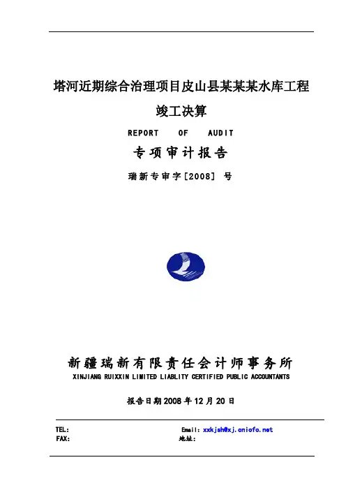 水利审计报告