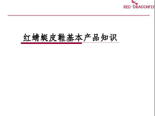 红蜻蜓皮鞋产品培训(内部参考)精品PPT课件