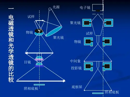 第一电子光学基础