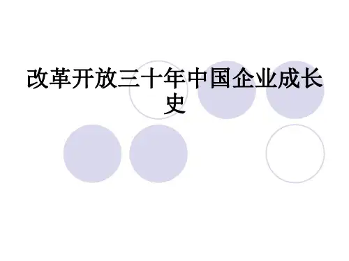 改革开放三十年中国企业成长史ppt课件