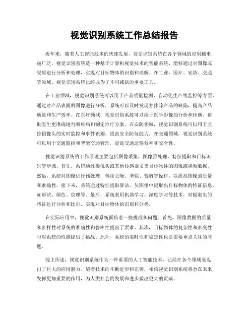 视觉识别系统工作总结报告
