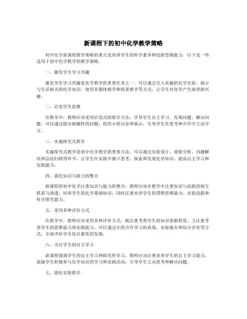 新课程下的初中化学教学策略