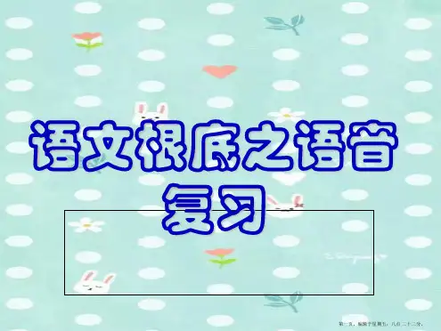 高考语文专题复习 语音复习课件 新人教版