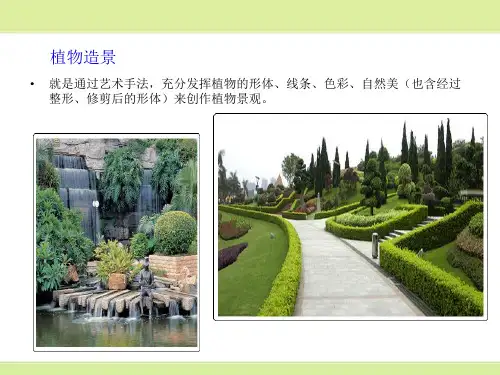 植物造景及配置PPT课件