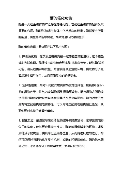 酶的催化功能