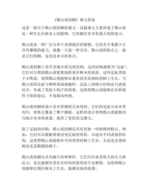 《爬山虎的脚》课文简说