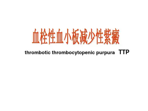 TTPt 演示文稿