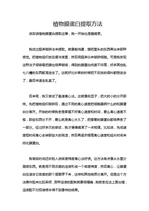 植物膜蛋白提取方法