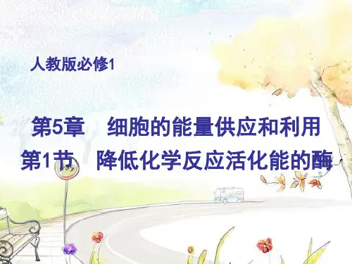 人教版酶的作用和本质复习PPT教学课件