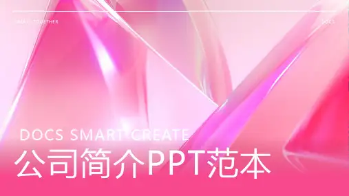 公司简介ppt范本1