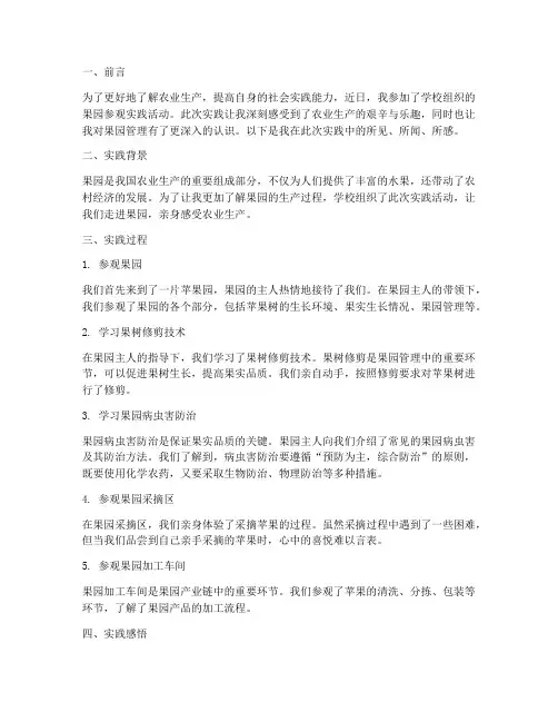 参观果园社会实践报告