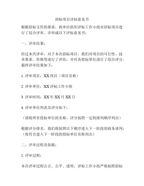 招标项目评标意见书