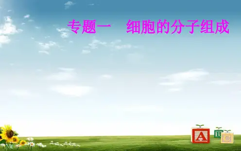 生物高中学业水平测试课件：专题一考点3水和无机盐的作用