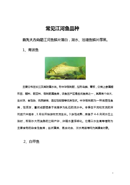 常见江河鱼