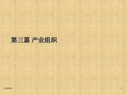 产业组织学习课件PPT(1)