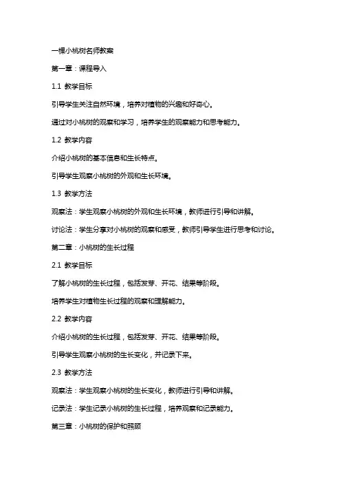 一棵小桃树名师教案