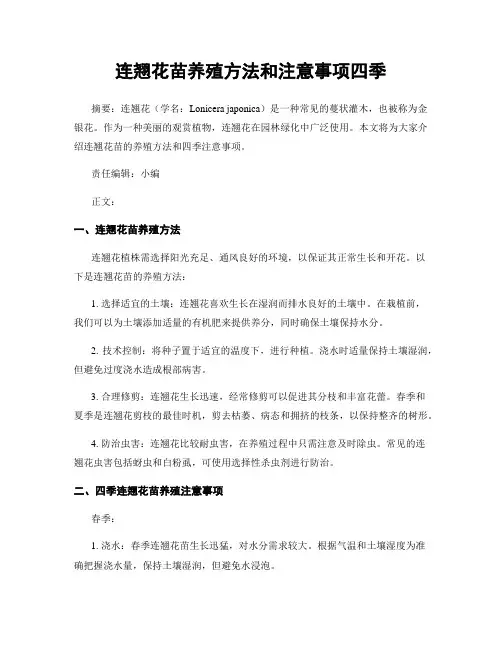 连翘花苗养殖方法和注意事项四季