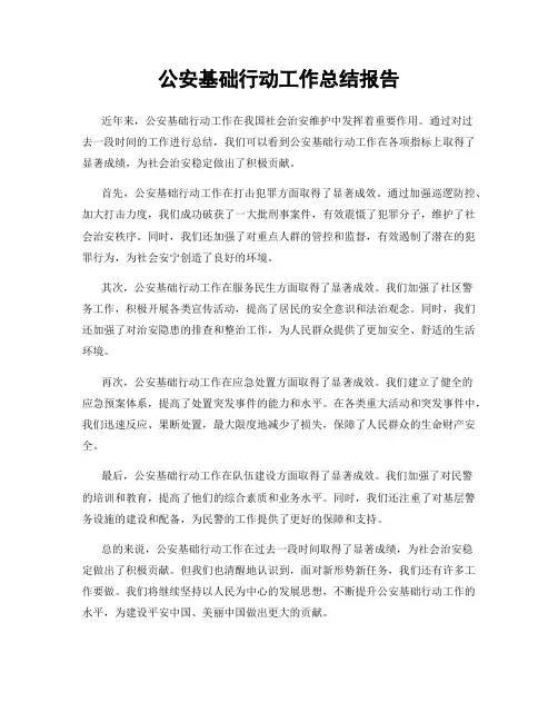 公安基础行动工作总结报告