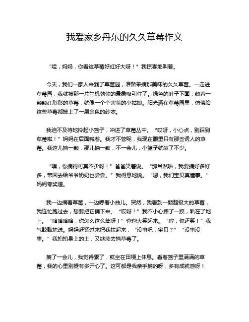 我爱家乡丹东的久久草莓作文