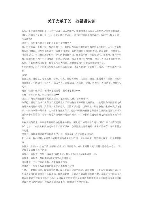 关于犬爪子的一些错误认识