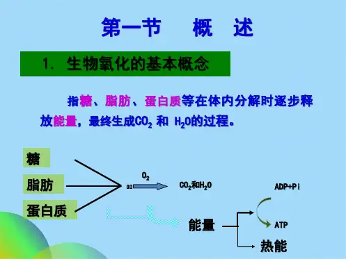 生物化学第六章 生物氧化(共77张PPT)