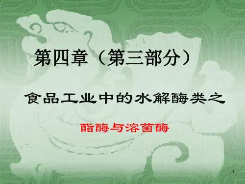 食品酶学第四章-脂酶及溶菌酶