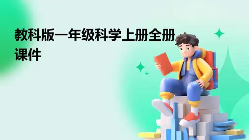 教科版一年级科学上册全册课件