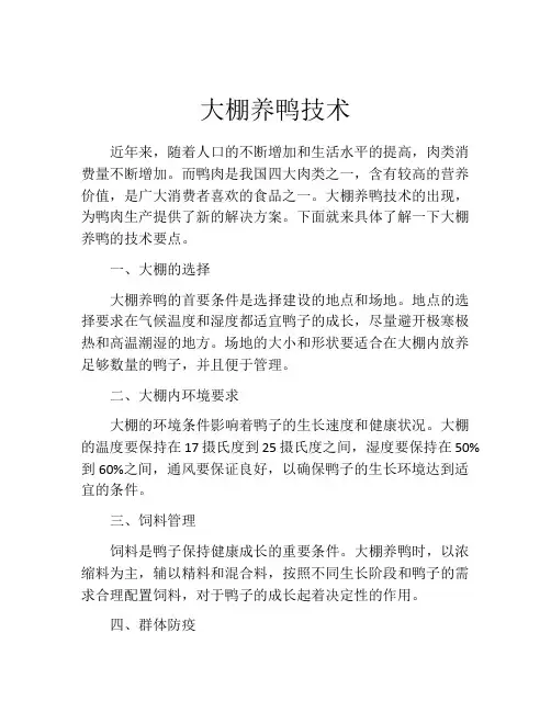 大棚养鸭技术