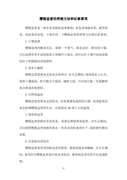 樱桃盆景的养殖方法和注意事项