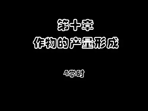 10作物产量形成过程