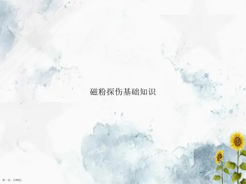 磁粉探伤基础知识讲课文档