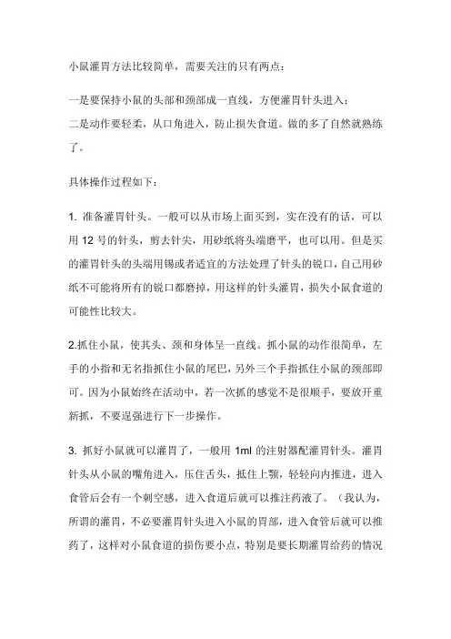 小鼠灌胃的方法及注意事项
