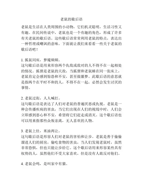 老鼠的歇后语