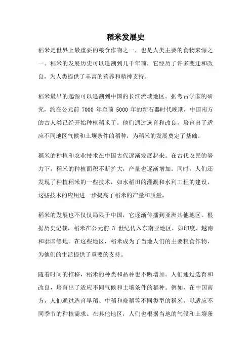 稻米发展史