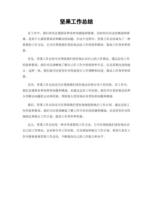 坚果工作总结