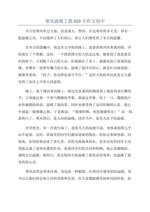 寒风温暖了我600字作文初中