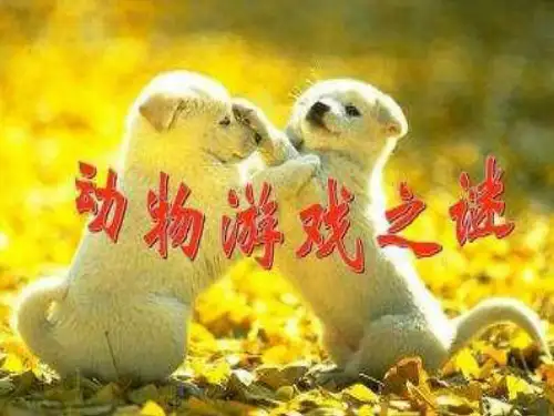高中语文人教版必修3动物游戏之迷 最新公开课优秀PPT