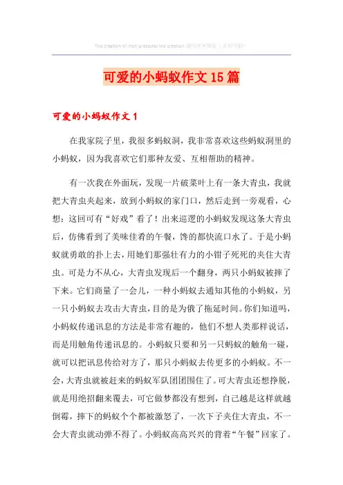 可爱的小蚂蚁作文15篇