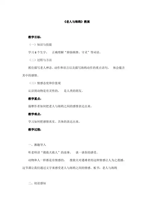 (公开课教案)六年级上册语文《老人与海鸥 》