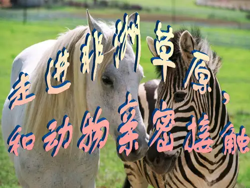 走进非洲草原精品PPT课件