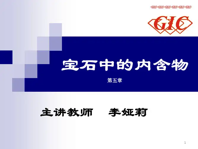 5-内含物