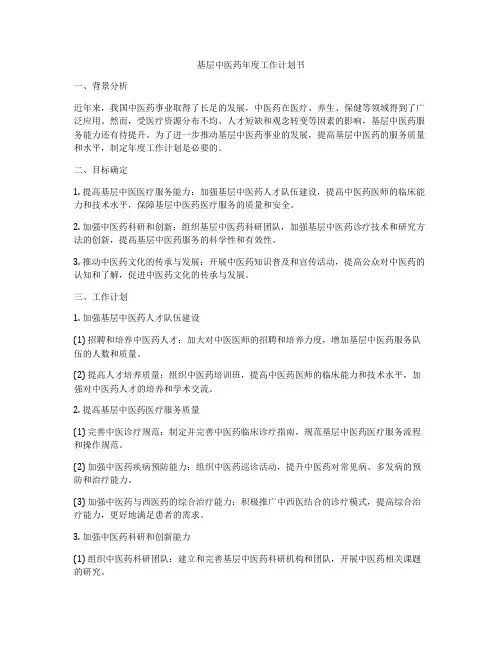 基层中医药年度工作计划书