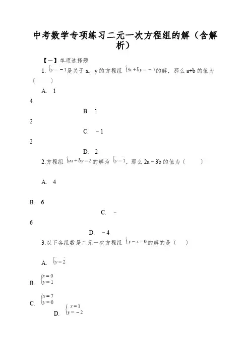 中考数学专项练习二元一次方程组的解(含解析)