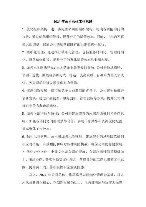 2024年公司总体工作思路