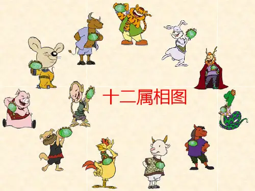 《十二属相图》课件
