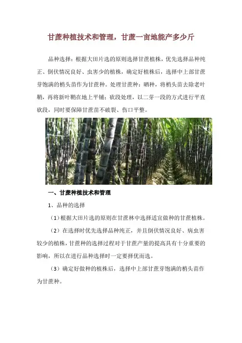 甘蔗种植技术和管理,甘蔗一亩地能产多少斤