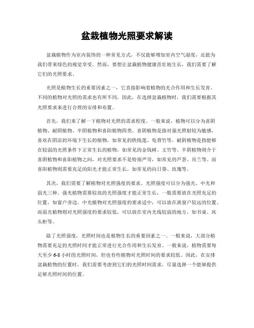 盆栽植物光照要求解读