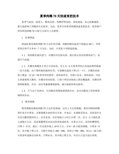 夏季肉鹅70天快速育肥技术