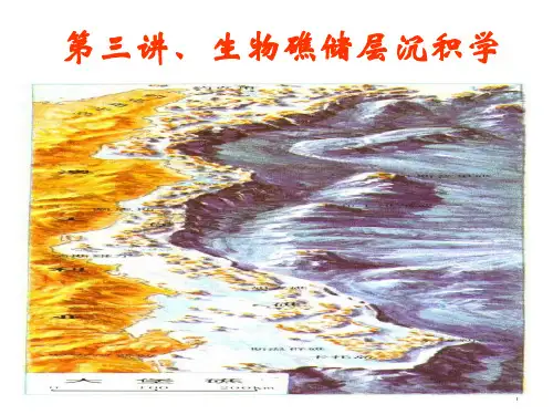 三.生物礁沉积学