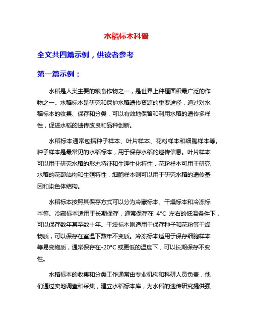 水稻标本科普